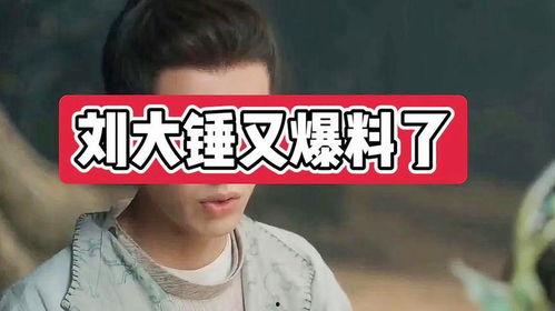 刘大锤9月份爆料视频,9月重磅爆料视频深度解析  第1张